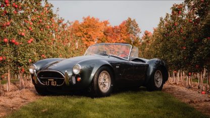 Shelby Cobra de Carroll Shelby