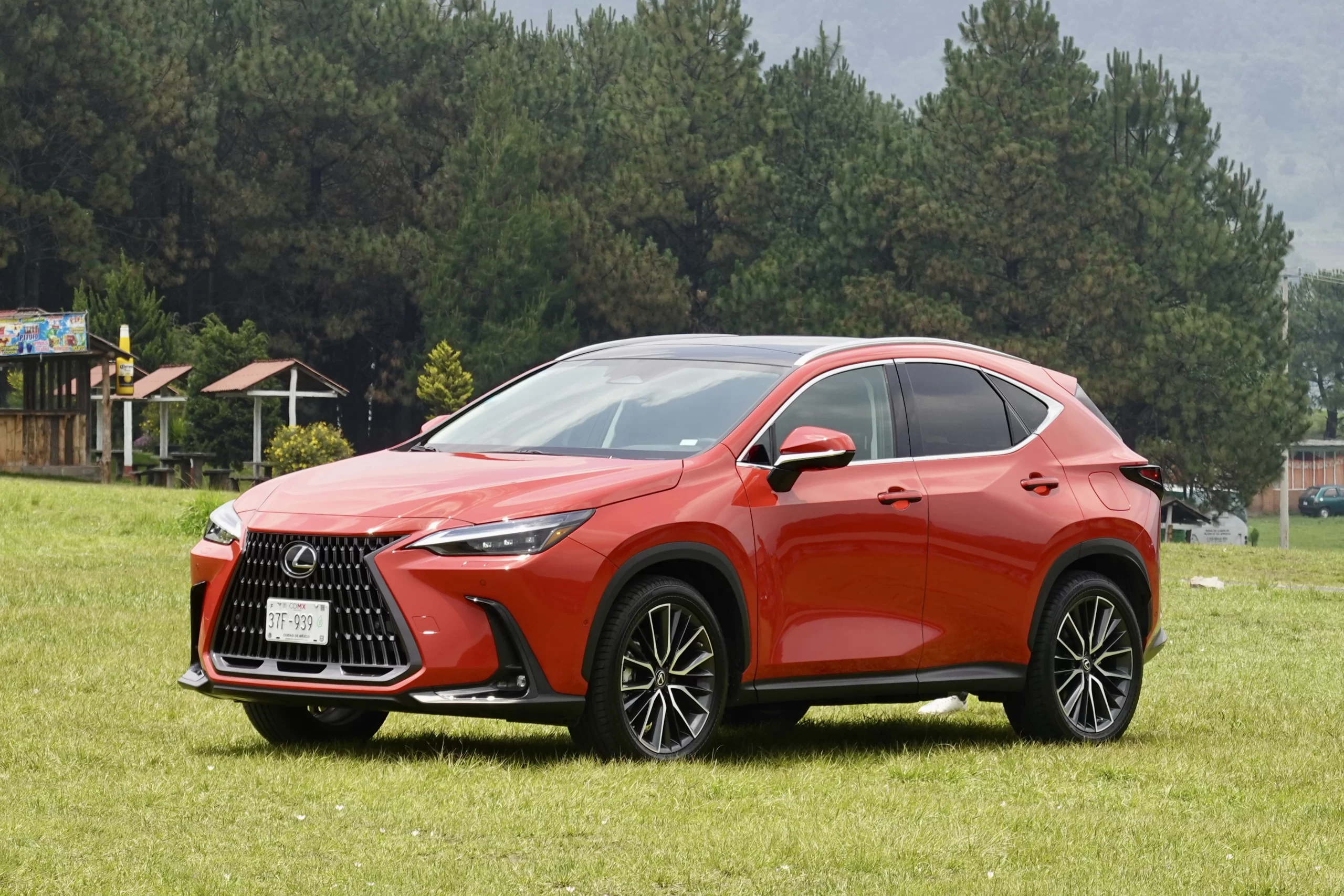 Lexus NX llamado a revisión